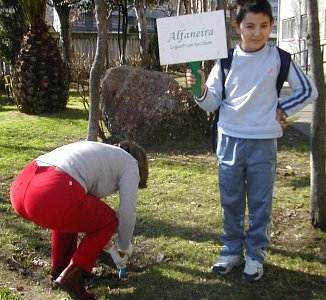 Colocando os letreiros caidos