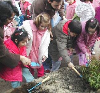 M&aacute;is instrucci&oacute;ns