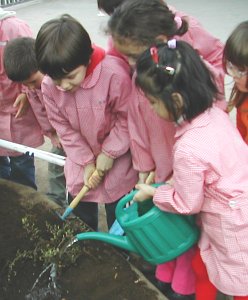 &iexcl;Por fin regamos!