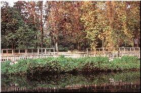 Xard&iacute;n centenario