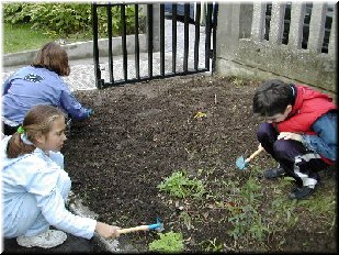 Un momento da limpeza