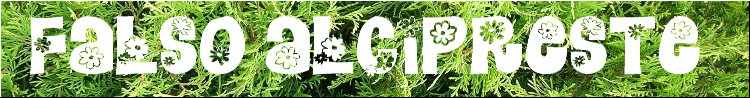 Falso alcipreste