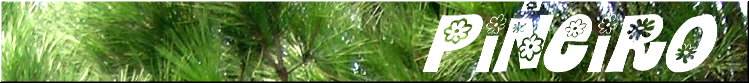 O Piñeiro