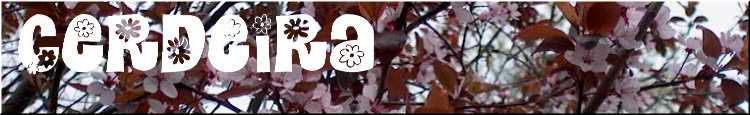 cerdeira