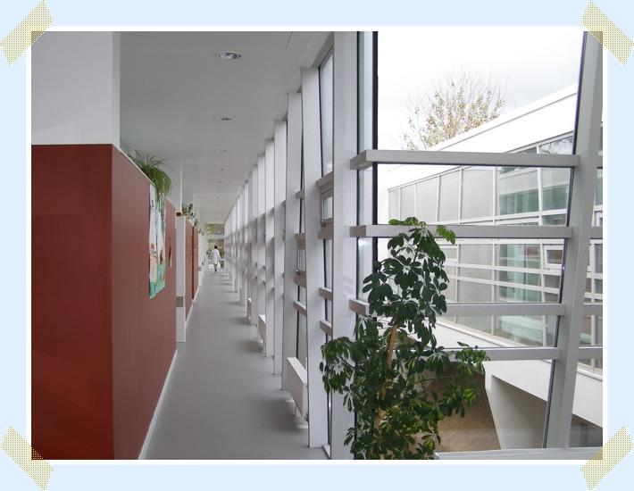 Diapositiva siguiente