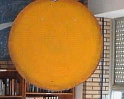 &iquest;Que facemos?