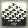 cielo mar escher.jpg (66756 bytes)