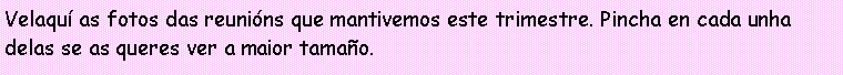 Cuadro de texto: Velaqu� as fotos das reuni�ns que mantivemos este trimestre. Pincha en cada unha delas se as queres ver a maior tama�o.