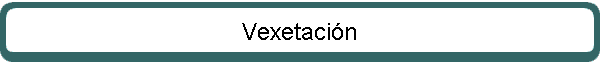 Vexetaci�n