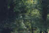 dibujo_edited.jpg (56872 bytes)