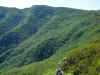 panoramicadev.jpg (447979 bytes)