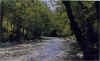 rio1.jpg (59703 bytes)
