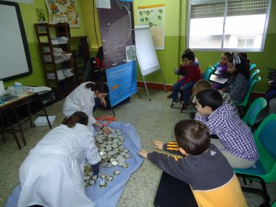 Preme para ver a foto ampliada