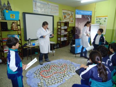 Preme para ver a foto ampliada