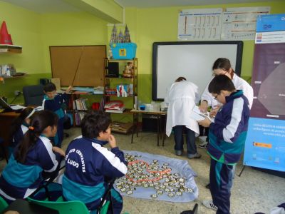 Preme para ver a foto ampliada