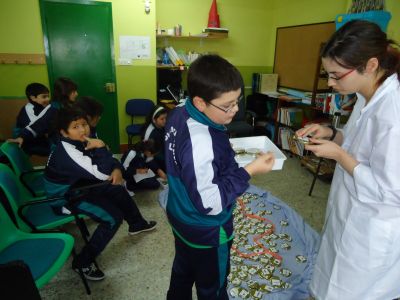 Preme para ver a foto ampliada