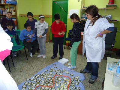 Preme para ver a foto ampliada