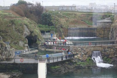 Preme para ver a foto ampliada