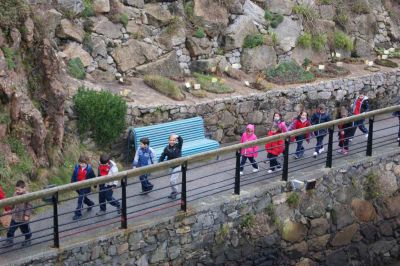 Preme para ver a foto ampliada