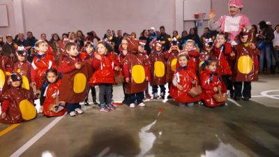 Preme para ver a foto ampliada