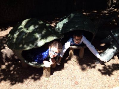 Preme para ver a foto ampliada