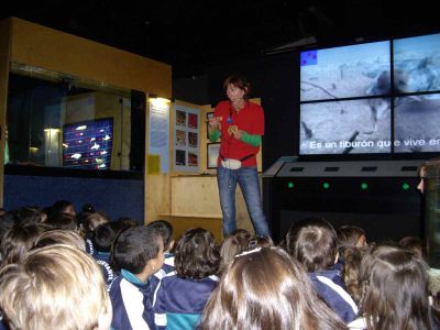 Preme para ver a foto ampliada