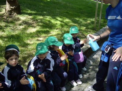 Preme para ver a foto ampliada