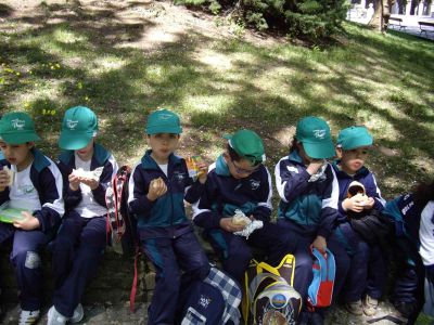 Preme para ver a foto ampliada