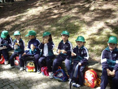 Preme para ver a foto ampliada