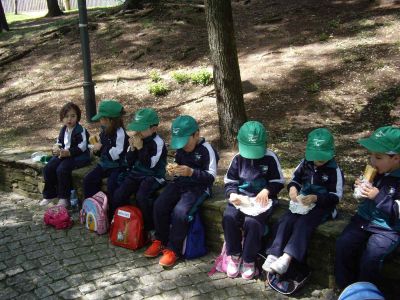 Preme para ver a foto ampliada