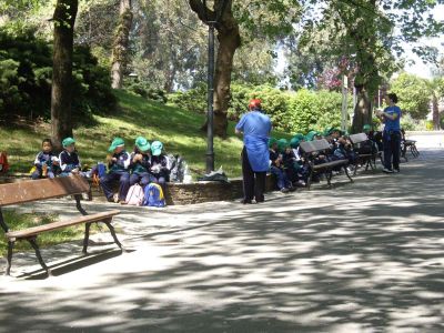 Preme para ver a foto ampliada