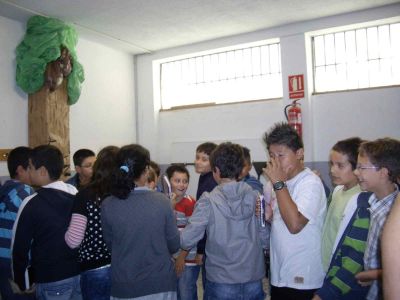 Preme para ver a foto ampliada