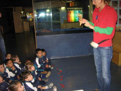 Preme para ver a foto ampliada