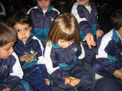 Preme para ver a foto ampliada