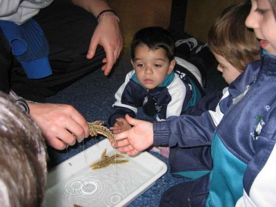 Preme para ver a foto ampliada