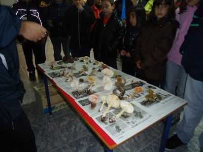 Preme para ver a foto ampliada