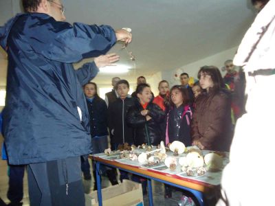 Preme para ver a foto ampliada