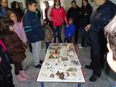 Preme para ver a foto ampliada