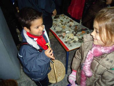 Preme para ver a foto ampliada