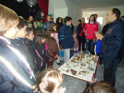 Preme para ver a foto ampliada