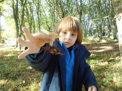 Preme para ver a foto ampliada