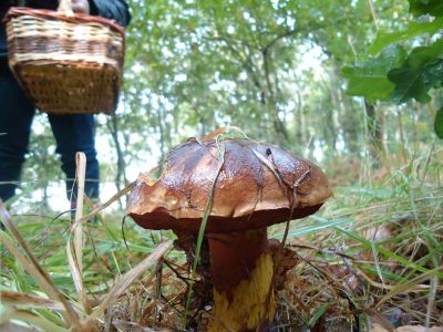 Preme para ver a foto ampliada