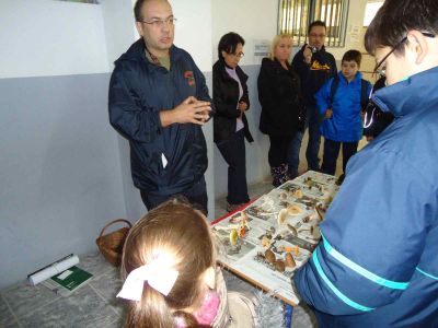 Preme para ver a foto ampliada