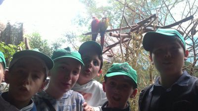 Preme para ver a foto ampliada