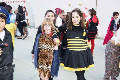 Preme para ver a foto ampliada