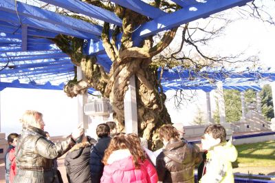 Preme para ver a foto ampliada