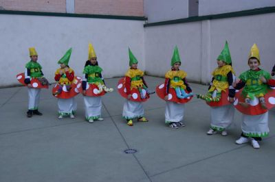 Preme para ver a foto ampliada