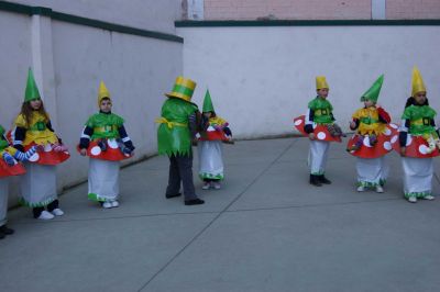 Preme para ver a foto ampliada