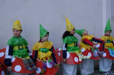 Preme para ver a foto ampliada