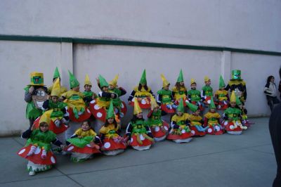 Preme para ver a foto ampliada